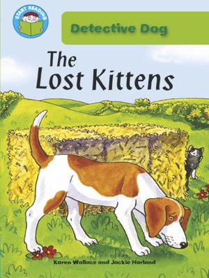 cover image of The Lost Kittens